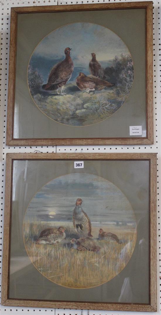 Pair Victorian watercolours of grouse